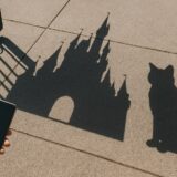 どこにいる？ディズニーランド&ディズニーシーに野良猫がいる場所