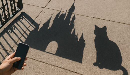どこにいる？ディズニーランド&ディズニーシーに野良猫がいる場所