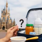 【東京ディズニーリゾート】離乳食やアレルギー対応食品の持ち込みは可能？