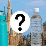 【東京ディズニーランド・シー】水筒やペットボトルの持ち込みはできる？飲み物の種類と容器制限